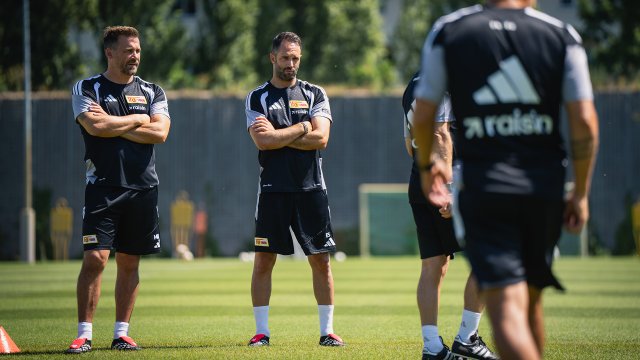 Update | Co-Trainer im Fokus